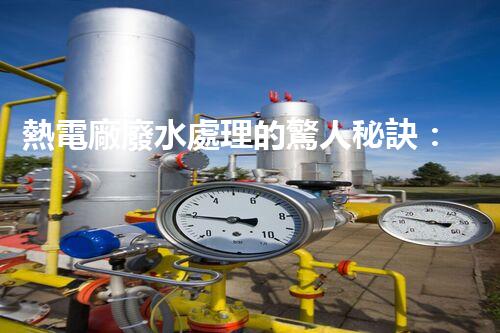 熱電廠廢水處理的驚人秘訣：巴洛仕技術(shù)揭秘！